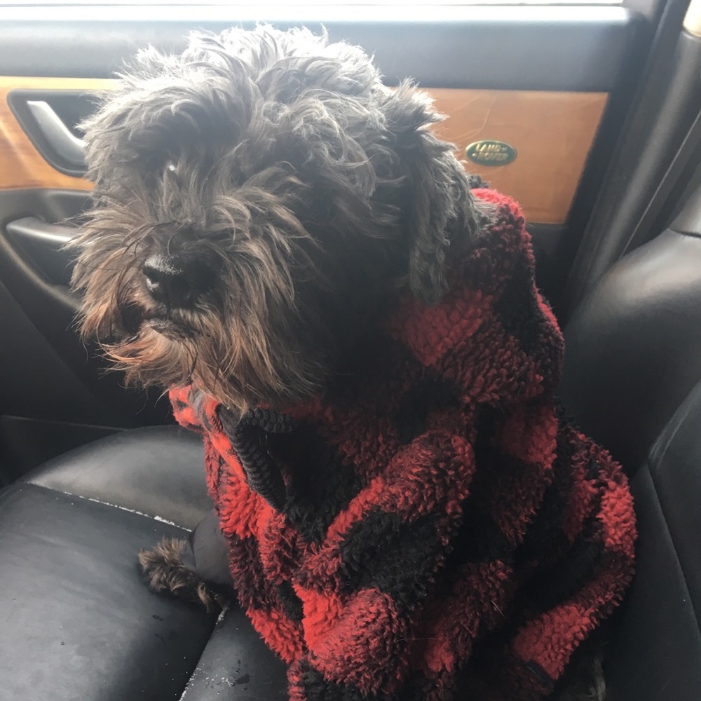 ❣️Bundle Up & Save❣️